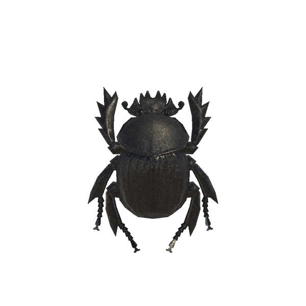 Dung Beetle