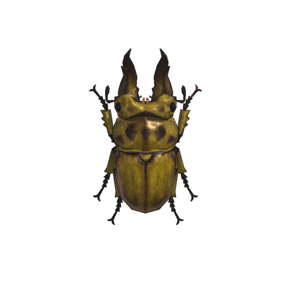 Golden Stag