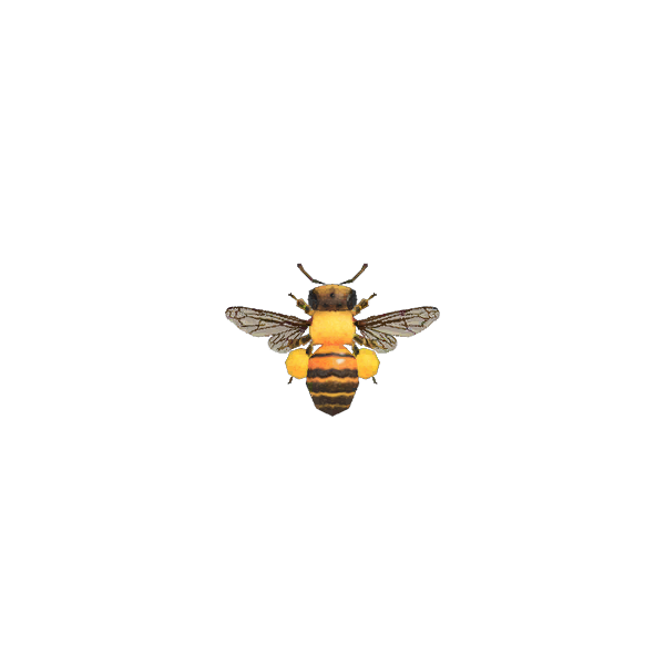 Honeybee