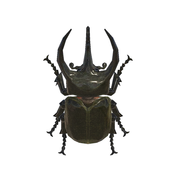 Horned Atlas