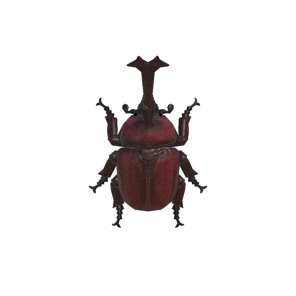 Horned Dynastid