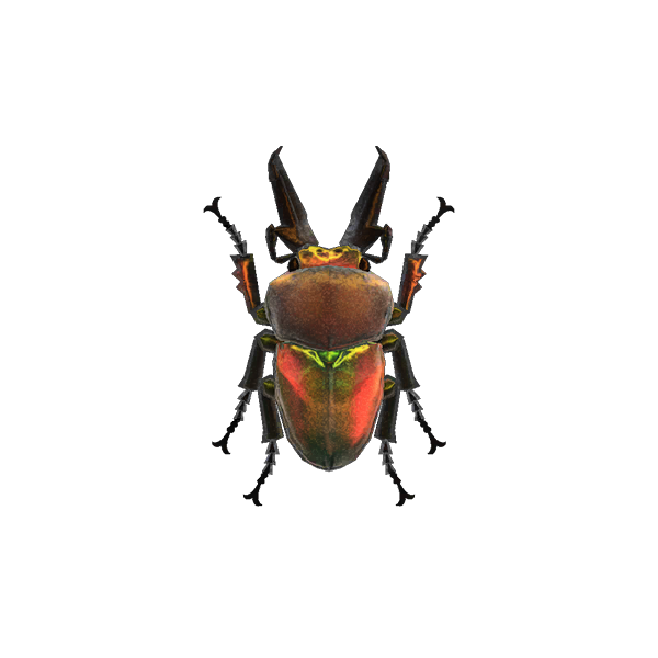 Rainbow Stag