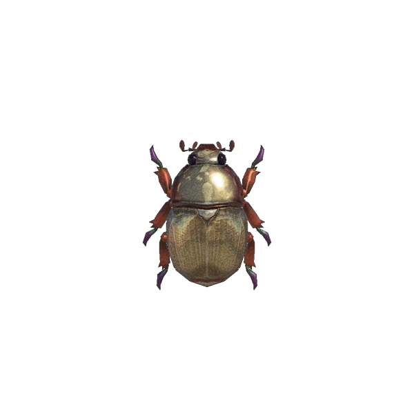 Scarab Beetle