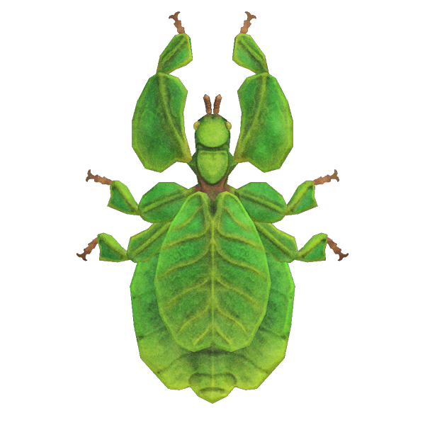 Walking Leaf