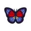 Agrias Butterfly