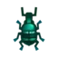 Blue Weevil Beetle