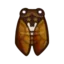 Brown Cicada