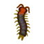 Centipede