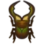 Cyclommatus Stag