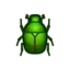 Drone Beetle