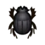 Dung Beetle