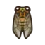 Evening Cicada