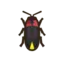 Firefly