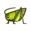 Grasshopper