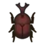 Horned Dynastid
