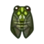 Robust Cicada