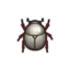 Scarab Beetle