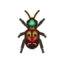 Tiger Beetle