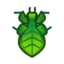 Walking Leaf