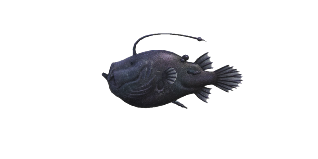 Football Fish