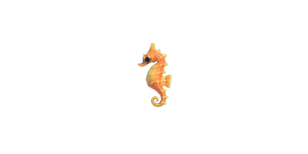 Sea Horse