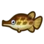 Gar