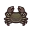 Mitten Crab