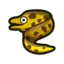 Moray Eel