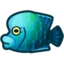Napoleonfish