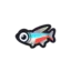 Neon Tetra