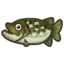 Pike