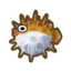 Puffer Fish
