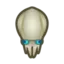 Squid
