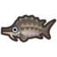 Sturgeon