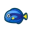 Surgeonfish