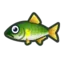 Sweetfish